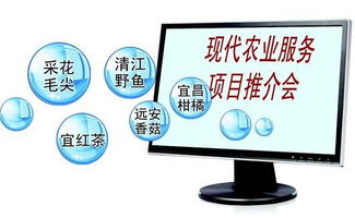 一畝田宜昌農產品營銷邁入互聯網時代 開啟網絡文化經營新篇章